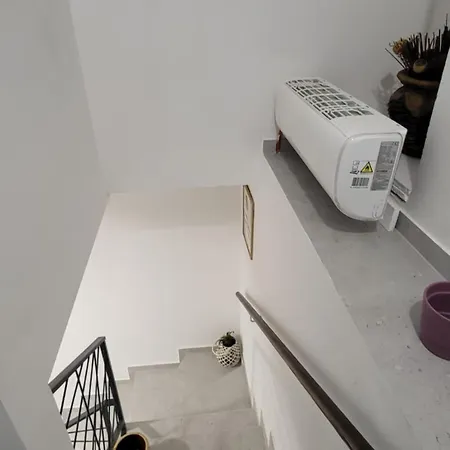 Belina ストモルスカ