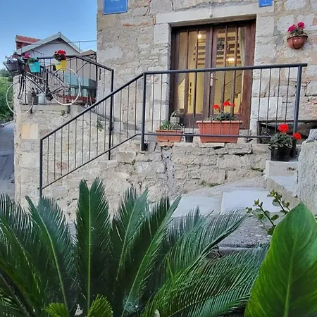 Belina ストモルスカ